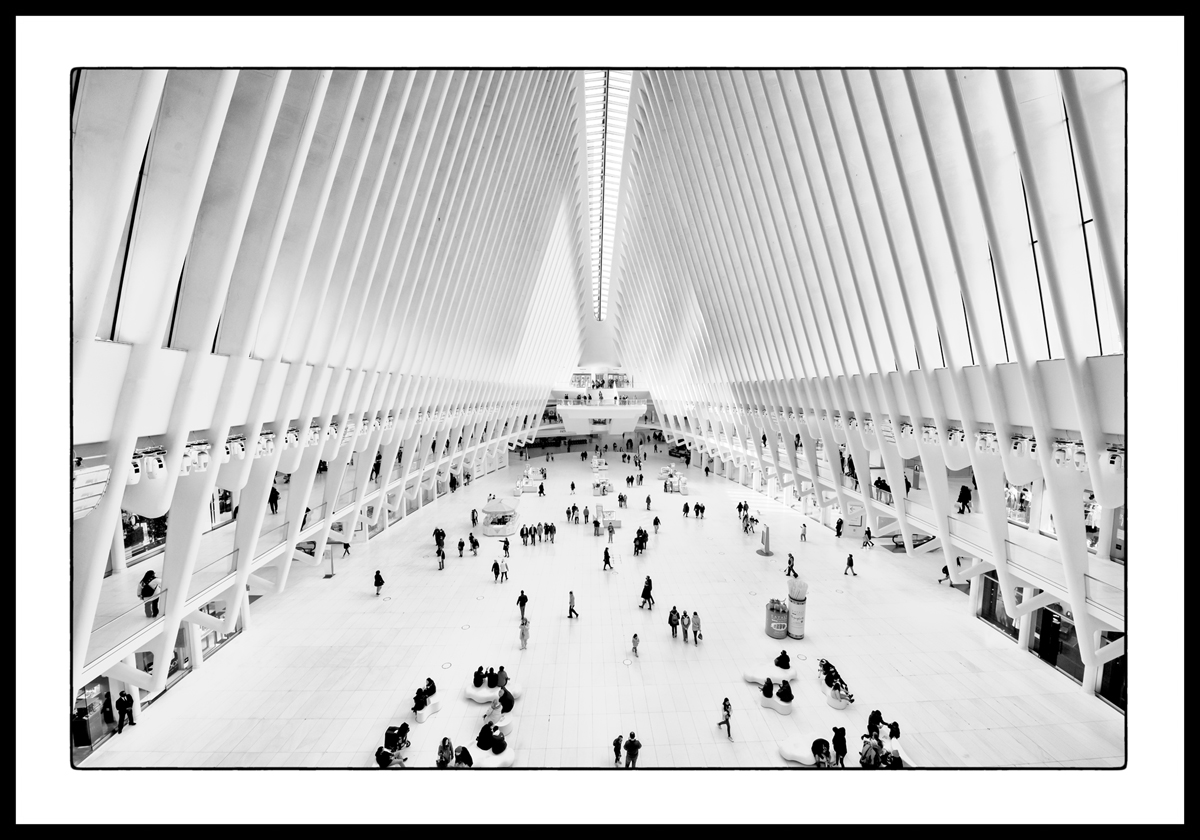 New York - Oculus - Michael C. Moeller