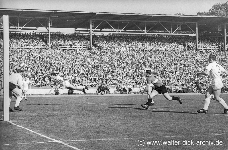 Leo Wilden klärt! 1964